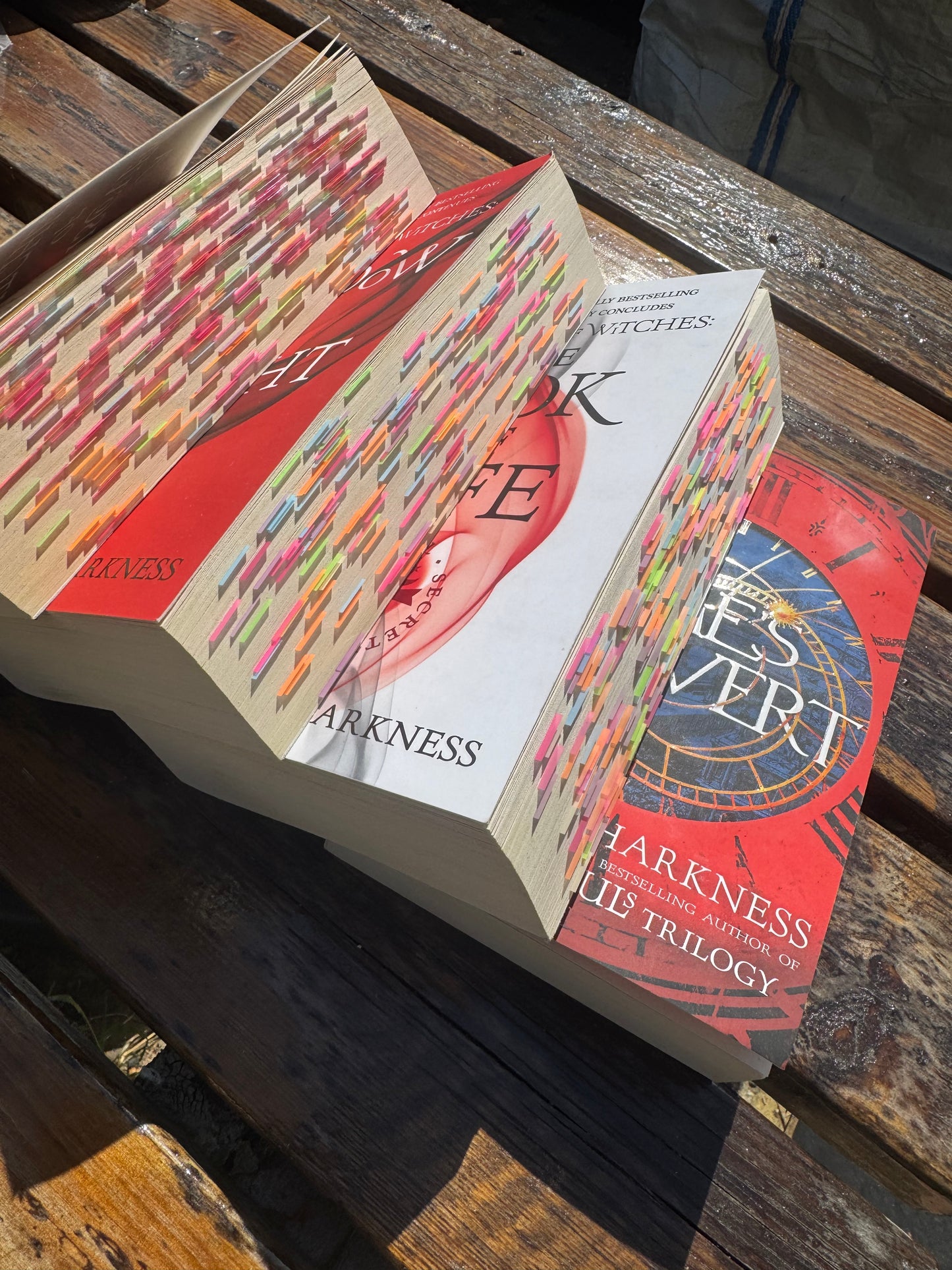 Annotated Book (400-600 pages)