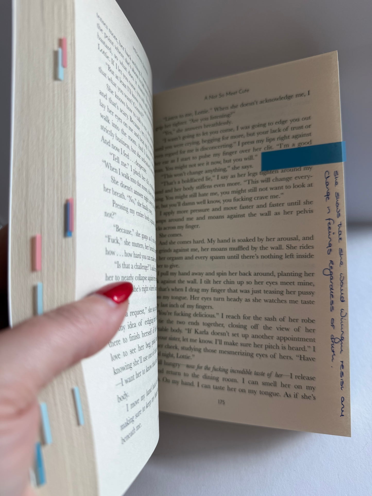 A Not So Meet Cute [Paperback]